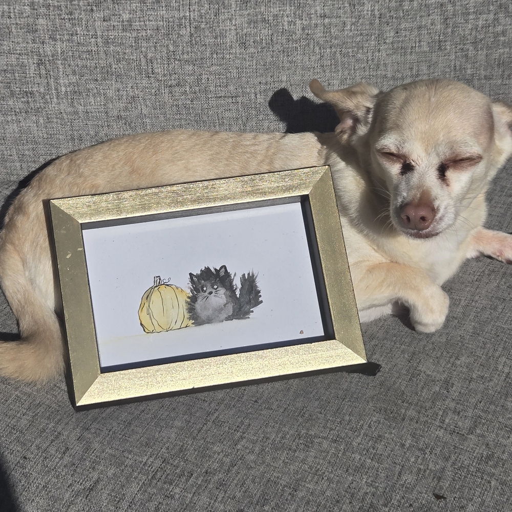 Gold Framed Animal Art Print